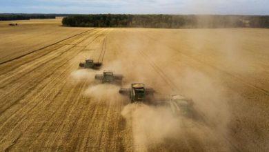 Photo of Новое правительство Польши сохранит запрет на ввоз украинского зерна, несмотря на угрозы штрафов Евросоюза