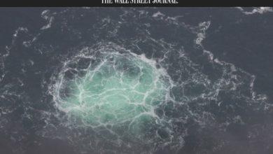 Photo of ЗЕЛЕНСКИЙ ОДОБРИЛ ОПЕРАЦИЮ ПО ПОДРЫВУ «СЕВЕРНОГО ПОТОКА», НО ЗАТЕМ ПЫТАЛСЯ ЕЕ ОСТАНОВИТЬ – WSJ